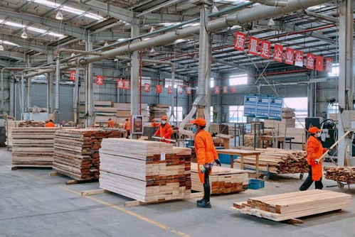 林產品公司安全有序推進復工復產 保障日用百貨穩定供應